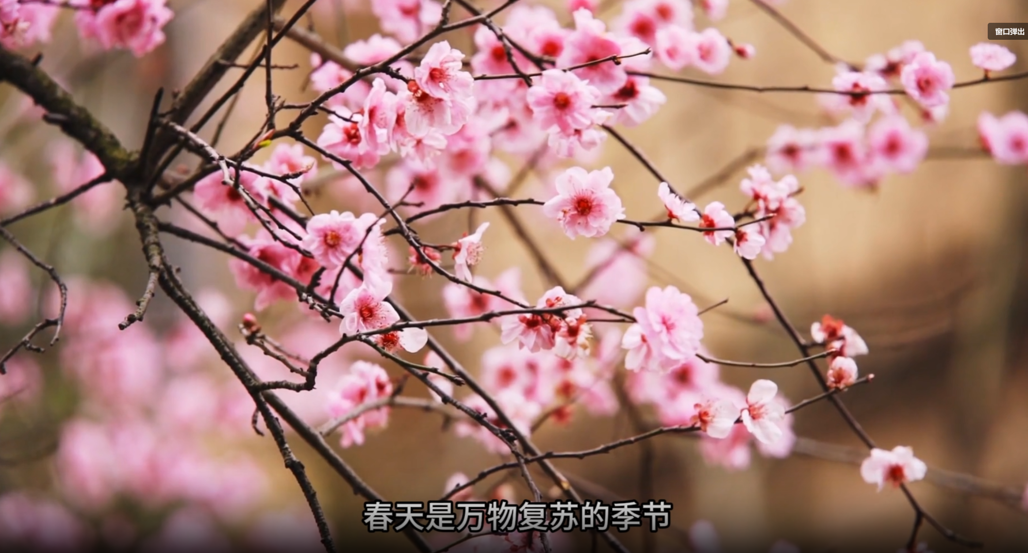 春季养肝